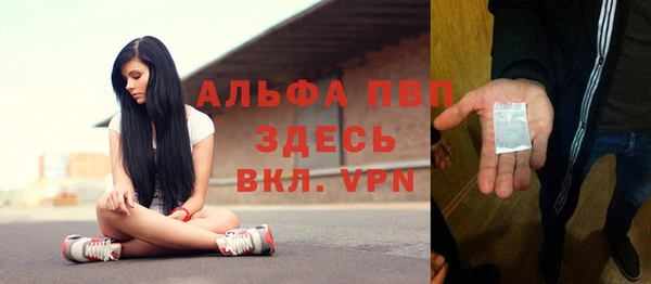 ешки Алексин