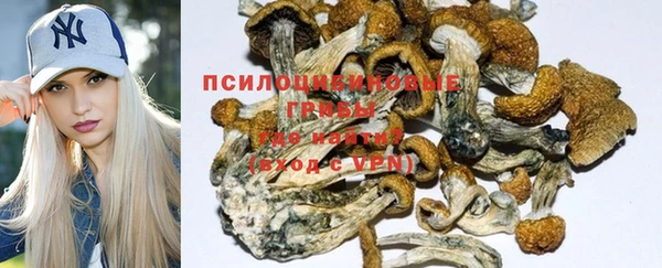 ешки Алексин