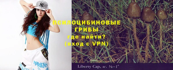 ешки Алексин