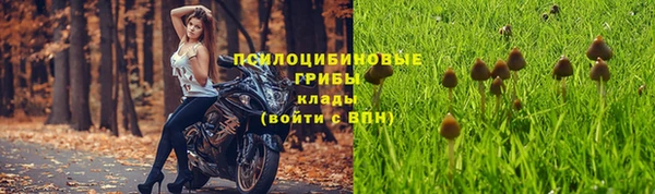 гашишное масло Алексеевка